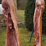 Barangolo Vendeghaz * Bárdudvarnok