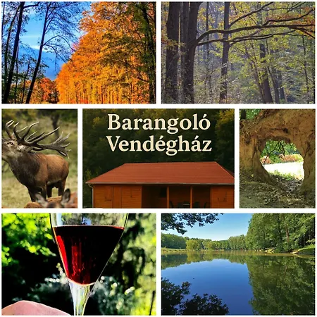 Barangolo Vendeghaz シャレー