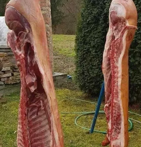 Barangolo Vendeghaz * Bárdudvarnok