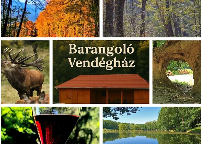 Barangolo Vendeghaz シャレー
